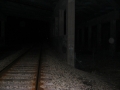 CIMG0498.jpg