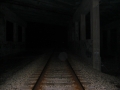 CIMG0500.jpg