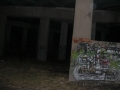 CIMG0501.jpg