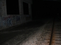 CIMG0504.jpg