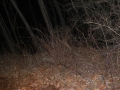 CIMG0547.jpg