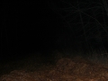 CIMG0561.jpg