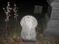 CIMG0437.jpg